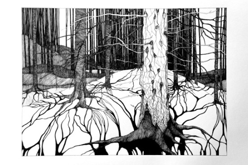 anna widen forest -01